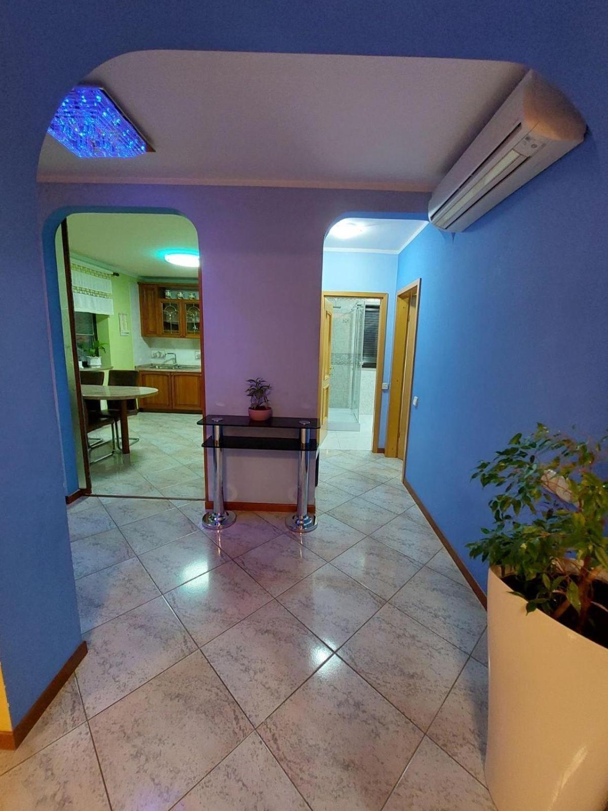 Apartma Mimi Dekani المظهر الخارجي الصورة